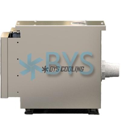 Ուլտրաձայնային խոնավացուցիչ BYS F2075 3L